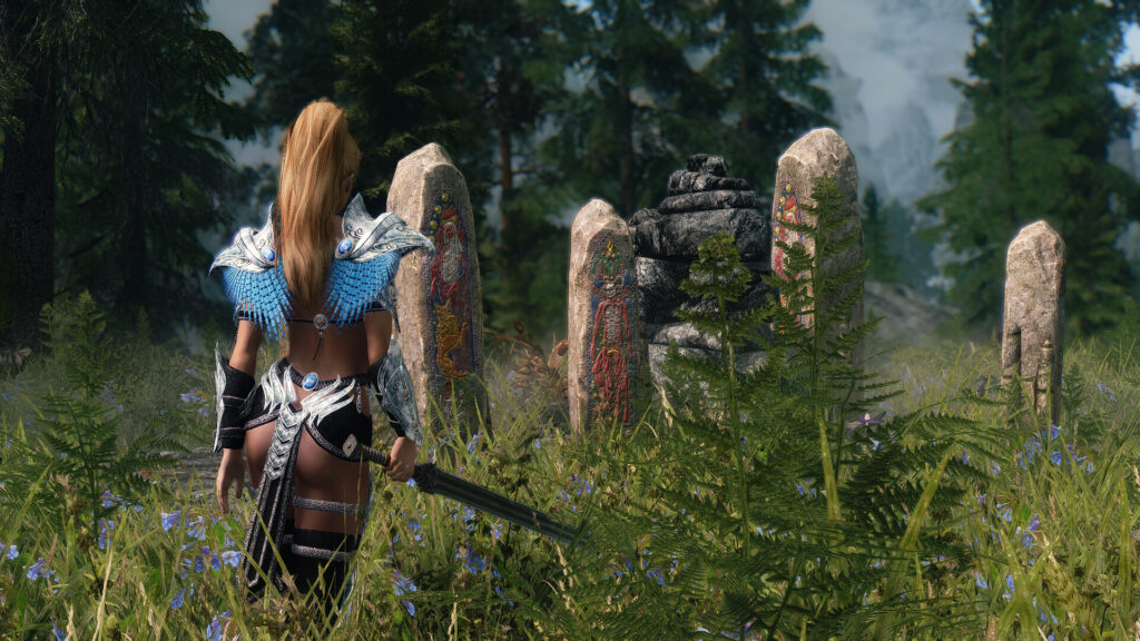 Как устанавливать моды на Tes V:Skyrim?