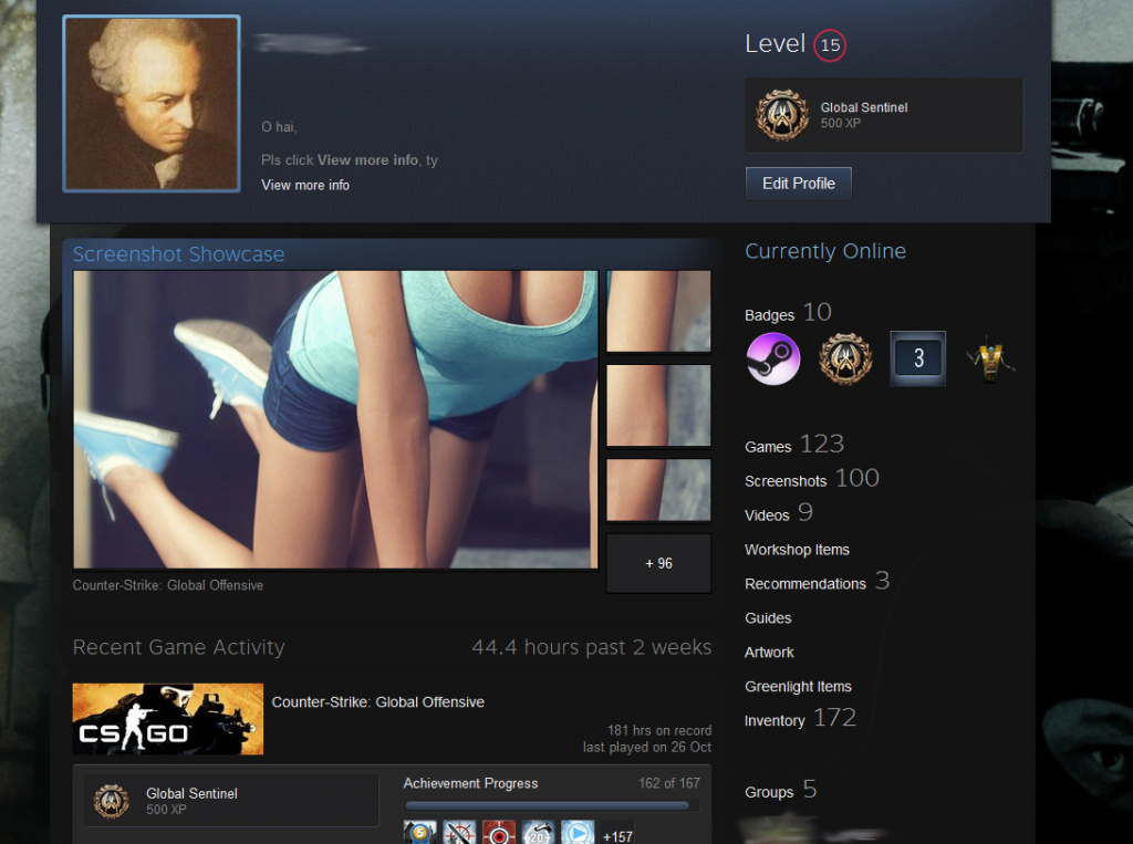 пример круто оформленного профиля стим